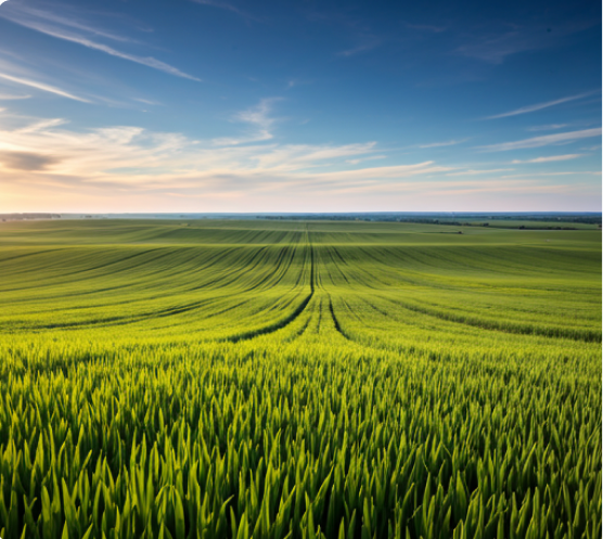 trusted global agri commodity import export company
