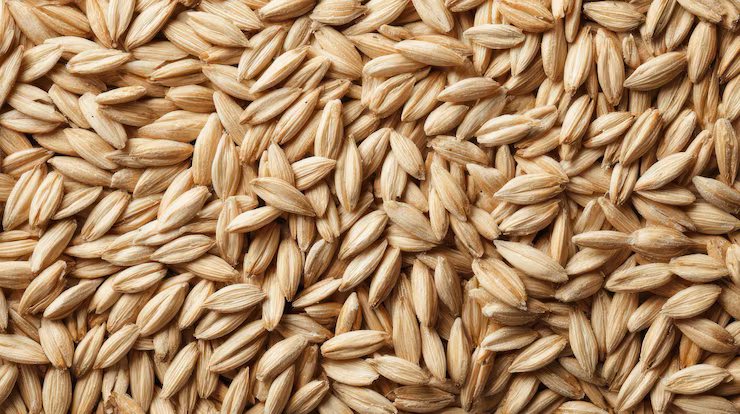 Barley