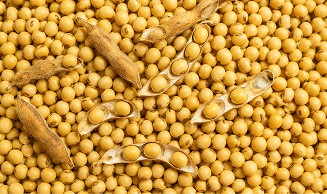 Soyabeans